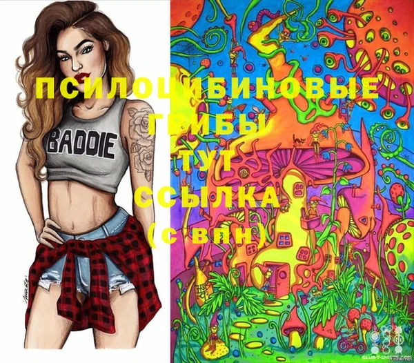 гашик Карталы