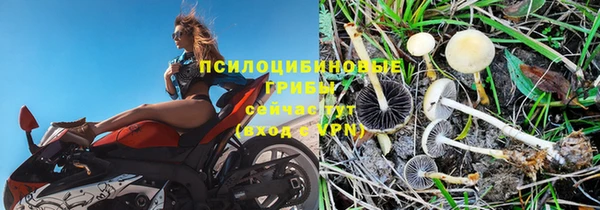 гашик Карталы