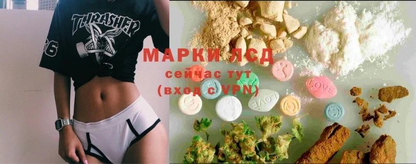 гашик Карталы