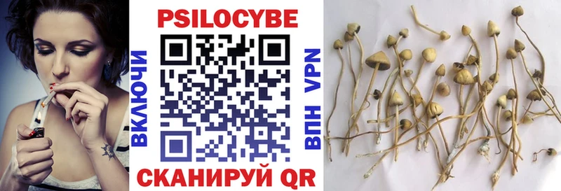 Галлюциногенные грибы Psilocybine cubensis Купить Гудермес